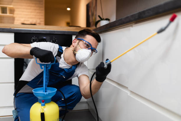 Best Affordable Pest Control Services  in Union City, PA