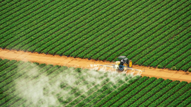 Best Commercial Pest Control Services  in Union City, PA