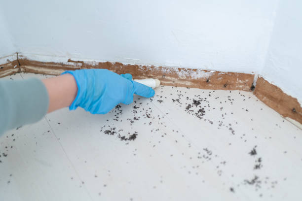 Professional Pest Control in Union City, PA